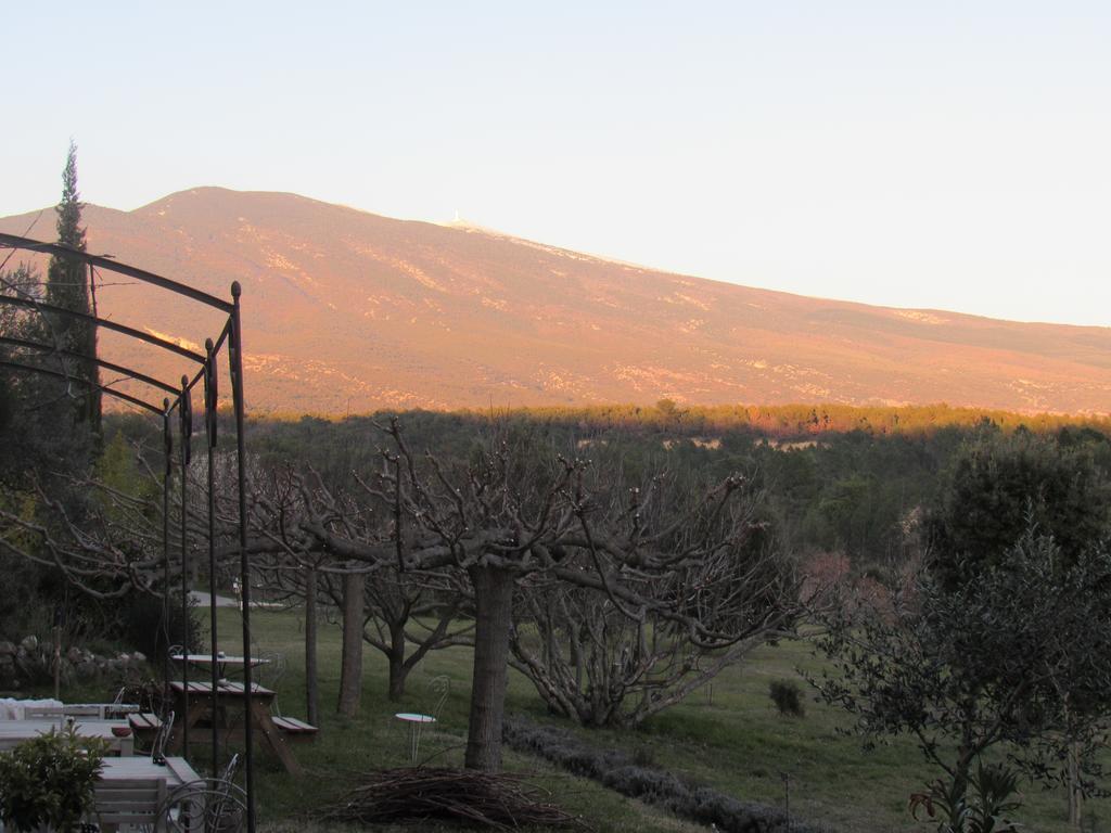 Residence De Gites La Sidoine Du Mont-Ventoux Crillon-le-Brave Buitenkant foto