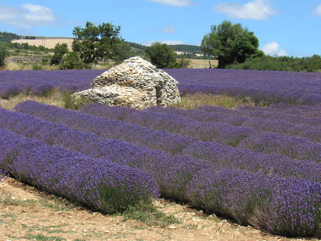 Residence De Gites La Sidoine Du Mont-Ventoux Crillon-le-Brave Buitenkant foto